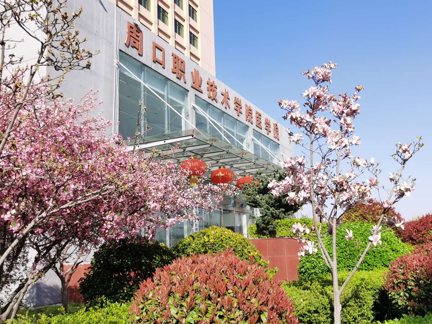 77779193永利集团