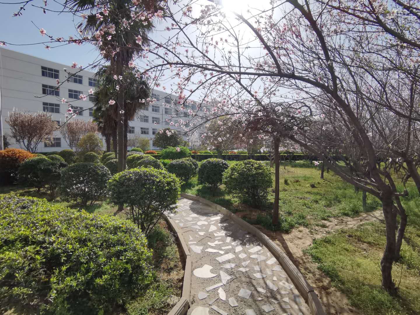 77779193永利集团